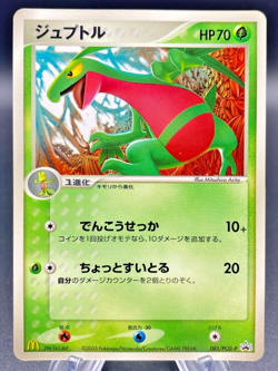 Grovyle - 081/PCG-P Mcdonalds Black Star promo (MP) Japanese Pokemon Card - Image 1