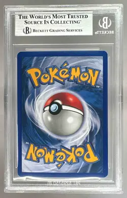 Mudkip 2003 Pokemon EX Ruby & Sapphire #60 Reverse Holo BGS 8.5 - Image 2
