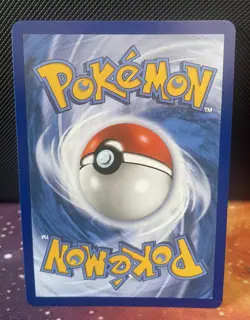 Chimchar 041 Pokemon TCG 30th Anniversary First Partner Black Star Promo - Mint - Image 2