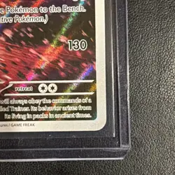 Mightyena 243/217 Illustration Rare Holo Pokemon Ascended Heroes NM - Image 3