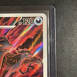 Mightyena 243/217 Illustration Rare Holo Pokemon Ascended Heroes NM - Image 4