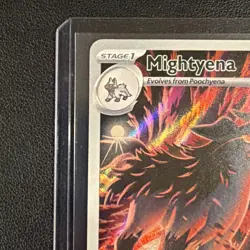 Mightyena 243/217 Illustration Rare Holo Pokemon Ascended Heroes NM - Image 5