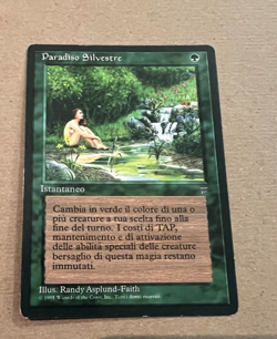 Sylvan Paradise - Legends (Italian) - MTG - Magic the Gathering - Image 1