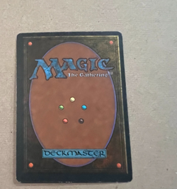 Sylvan Paradise - Legends (Italian) - MTG - Magic the Gathering - Image 4