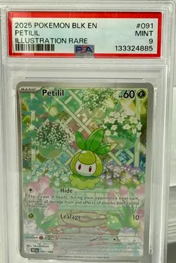 *PSA MINT 9* 2025 POKEMON BLK EN "PETILIL" Illustration Rare BEAUTIFUL CARD-NEW - Image 1