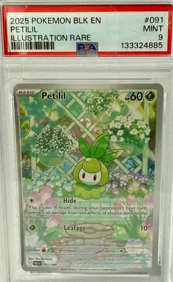 *PSA MINT 9* 2025 POKEMON BLK EN "PETILIL" Illustration Rare BEAUTIFUL CARD-NEW - Image 2