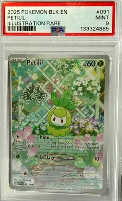 *PSA MINT 9* 2025 POKEMON BLK EN "PETILIL" Illustration Rare BEAUTIFUL CARD-NEW - Image 3