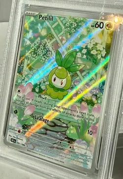 *PSA MINT 9* 2025 POKEMON BLK EN "PETILIL" Illustration Rare BEAUTIFUL CARD-NEW - Image 4