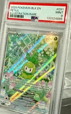 *PSA MINT 9* 2025 POKEMON BLK EN "PETILIL" Illustration Rare BEAUTIFUL CARD-NEW - Image 5