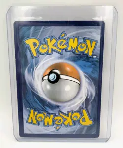 Pokemon TCG Torchic (City Championships Promo) 12/111 Reverse Holo NM Top Loader - Image 2