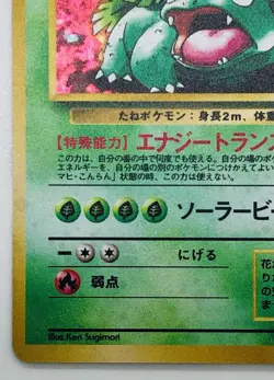 Venusaur Pokemon Card No.003 Lv67 Holo First edition No Mark F/S From Japan - Image 3