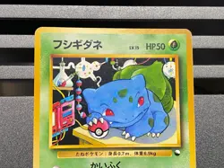 Bulbasaur Ivysaur Pokemon Japanese Promo Southern Island 002 001 Rainbow Island - Image 4