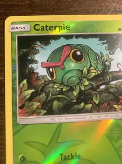 Caterpie 2019 Hidden Fates Reverse Holo Pokemon Card 1/68 (NM) - Image 5
