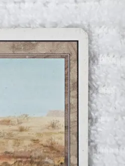 MTG Revised Dual Land Scrubland Reserved List 1994 - CardVault Inv VTG MP - Image 3