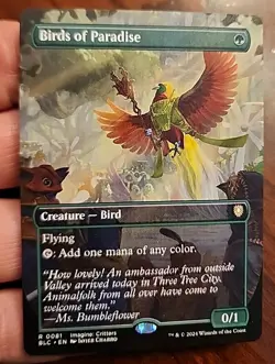 Birds of Paradise - Bloomburrow Commander (81) - Borderless - *Regular* - MTG - Image 1