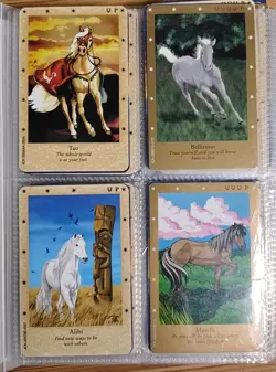 138 x Bella Sara Trading Cards BELLA Series 1 Wise Warriors Gold Silver Binder - Image 3