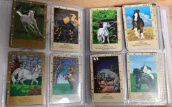 138 x Bella Sara Trading Cards BELLA Series 1 Wise Warriors Gold Silver Binder - Image 4
