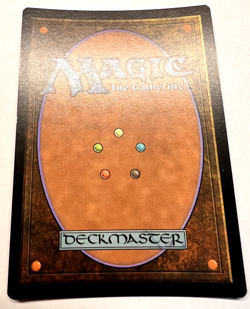 MTG Swarmyard | Secret Lair Drop (We Hope You Like Squirrels) Foil NM - Image 3