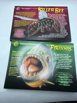 Weird N Wild Creatures Card Lot, Trading And Large Cards, Please Read - Image 5