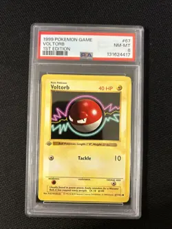 Pokemon Voltorb 67/102 (1st Edition) Shadowless *PSA 8* Freshly Graded Card - Image 1