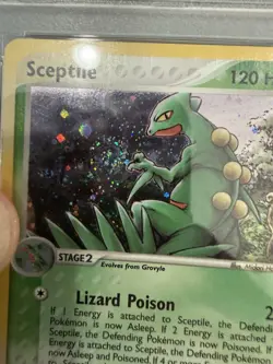 2003 Pokemon EX Sceptile Holo Ruby & Sapphire #11 PSA 7 New Cert w/Swirl - Image 5