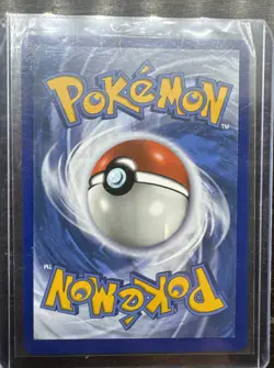 Snorlax Vmax - 142/202 Sword & Shield Ultra Rare Pokemon - NM/MINT - Image 2