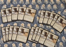 Tempest Hawk x20 (English) Tarkir: Dragonstorm Set MTG - Image 1