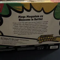 Pokemon TCG Mega Meganium EX—Ascended Heroes Box English - Image 4