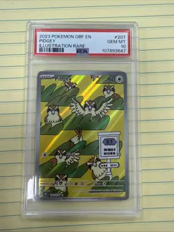 Pidgey Illustration Rare Holo Obsidian Flames #207 PSA 10 Pokemon 2023 - Image 1