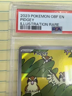 Pidgey Illustration Rare Holo Obsidian Flames #207 PSA 10 Pokemon 2023 - Image 2
