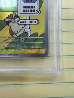 Pidgey Illustration Rare Holo Obsidian Flames #207 PSA 10 Pokemon 2023 - Image 4