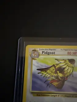 Wizards Pidgeot 24/64 Base Set Regular Rare Stage 2 80 HP Pokemon TCG - Image 2