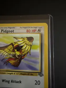 Wizards Pidgeot 24/64 Base Set Regular Rare Stage 2 80 HP Pokemon TCG - Image 5