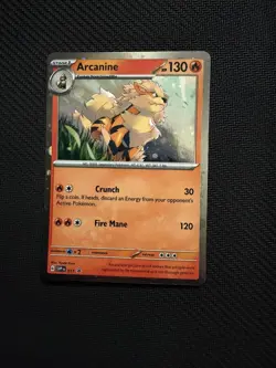 Arcanine 011 Holo Promo Scarlet & Violet Promo Pokemon Near Mint - Image 1