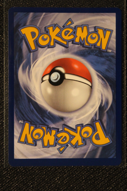 Pokemon TCG Noctowl 141 Sv: Scarlet & Violet Promo Cards Holo Near Mint - Image 2