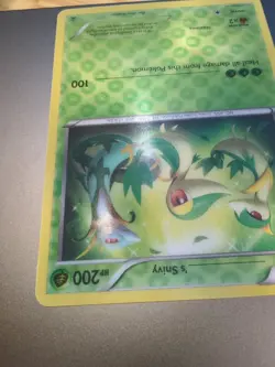 's Snivy 3D JUMBO Jumbo Card w/Nameplate Rare Black Star Promo Pokemon NM ! - Image 4