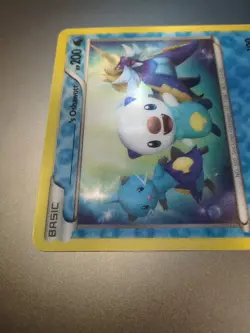 's Oshawott 3D JUMBO Jumbo Card w/Nameplate Rare Black Star Promo Pokemon NM ! - Image 3