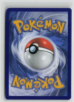 Eevee 205/264 Common Fusion Strike Pokemon NM - Image 2
