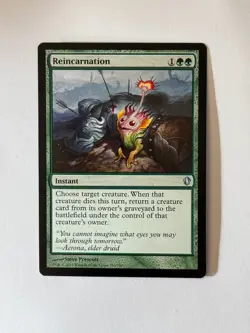 Reincarnation C13 166 Regular LP - Image 1
