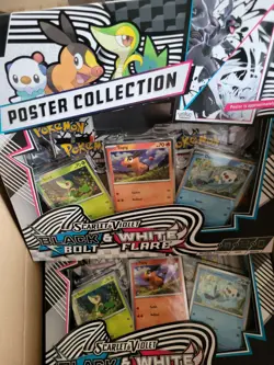 Pokemon Black Bolt & White Flare Unova Poster Collection - Lot of 12 - Image 1