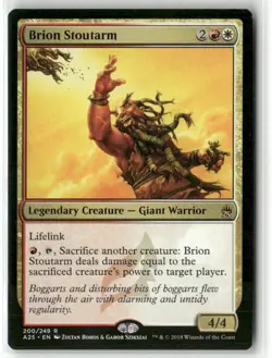 Brion Stoutarm Regular R Masters 25 200 NM - Image 1