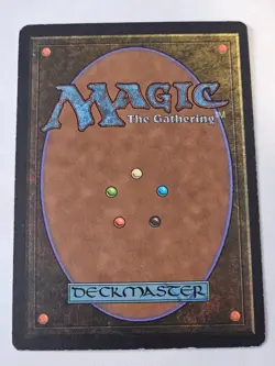 MTG - False Orders LP - Beta Limited Edition - Image 2