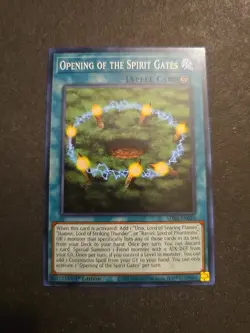 Yugioh! Opening of the Spirit Gates SDSA-EN020 Common 1st NM Best BUY - Image 1