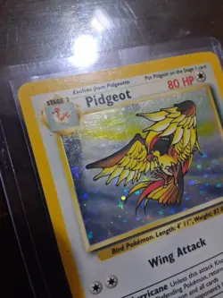 Pokemon TCG Pidgeot 8/64 Jungle (Pokemon) Holo Rare - Image 2