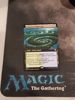MTG Secrets of Strixhaven Turbulent Wilderness Extended Art Magic R0107 NM - Image 1