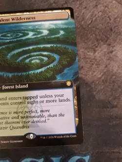 MTG Secrets of Strixhaven Turbulent Wilderness Extended Art Magic R0107 NM - Image 3
