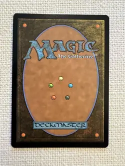 MTG Secrets of Strixhaven Turbulent Wilderness Extended Art Magic R0107 NM - Image 2