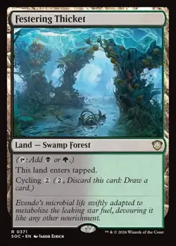 2x Festering Thicket SOC NM MTG - Image 1