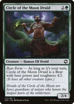 Circle of the Moon Druid #177/281 MTG Adventures in the Forgotten Realms NM x4 - Image 1