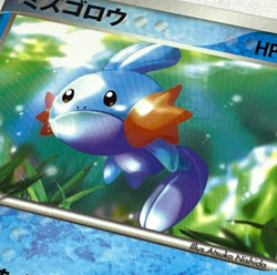 Japanese Pokemon McDonald's Promo Treecko Torchic Mudkip ADV-P 003 004 005 Lot - Image 4